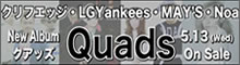 MAYfSANtGbWALGYankeesANoaƂ̃XyVjbgAo[Quads]